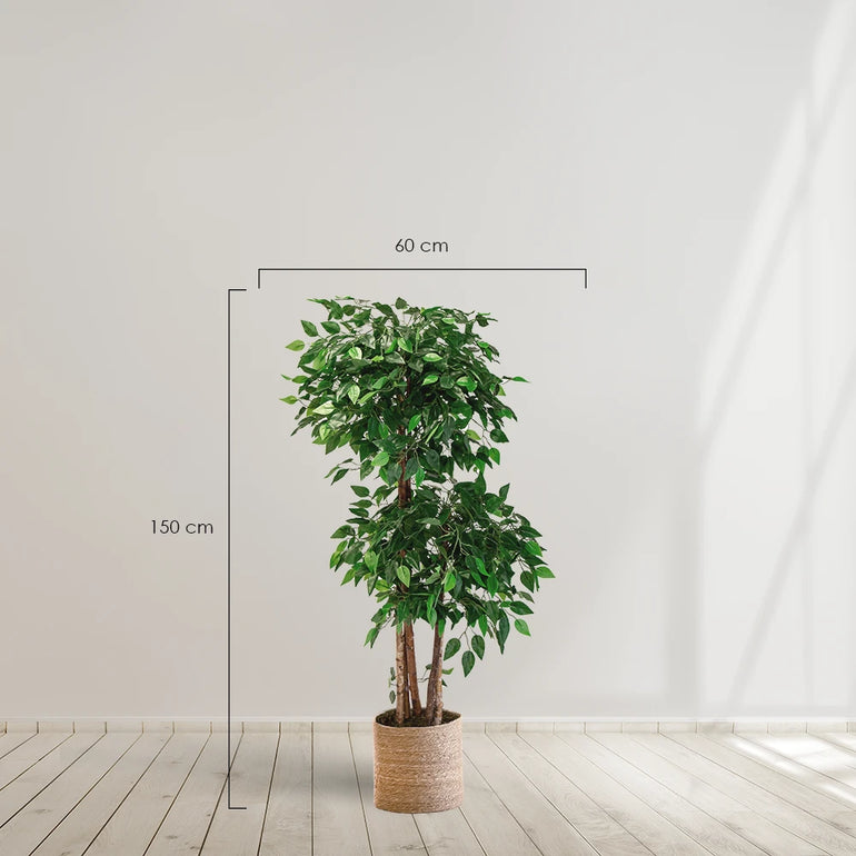 ficus artificial maiashop