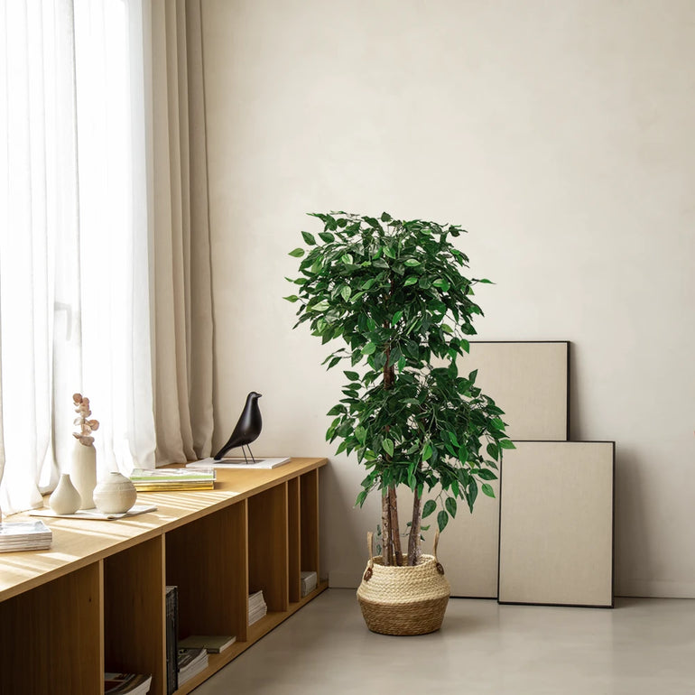 ficus artificial maiashop