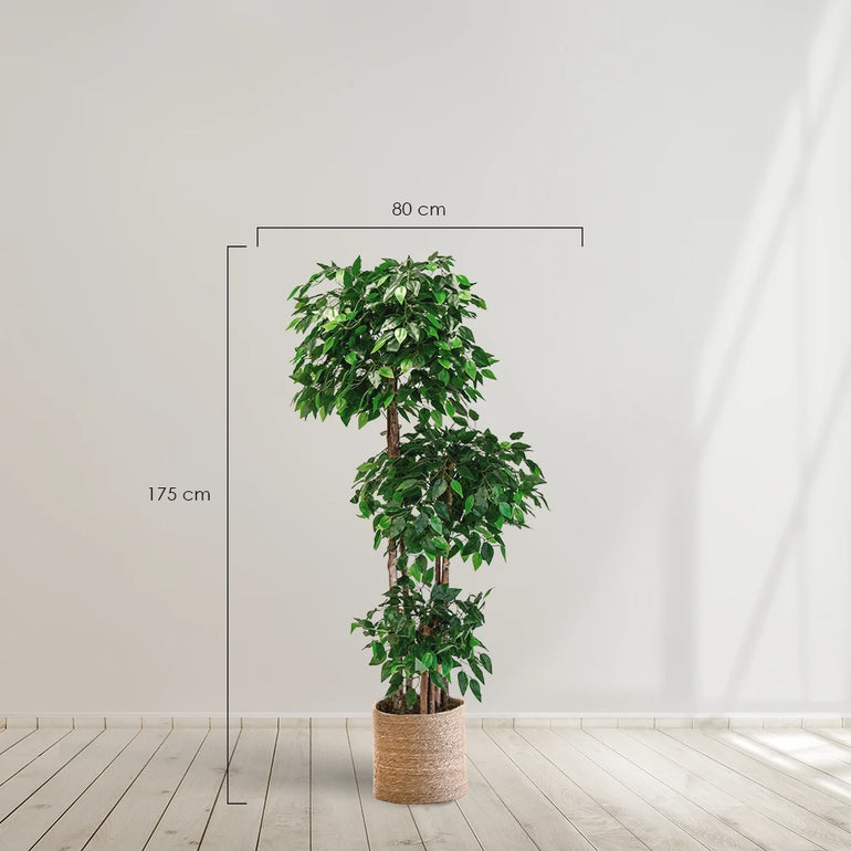 ficus artrificial MAIA SHOP