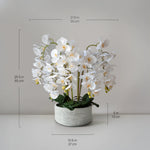 medidas Sira MAIA SHOP Orquídea 8 