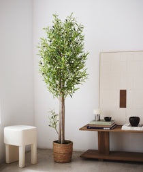 olivo artificial 180