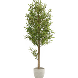 olivo artificial 180 maia shop
