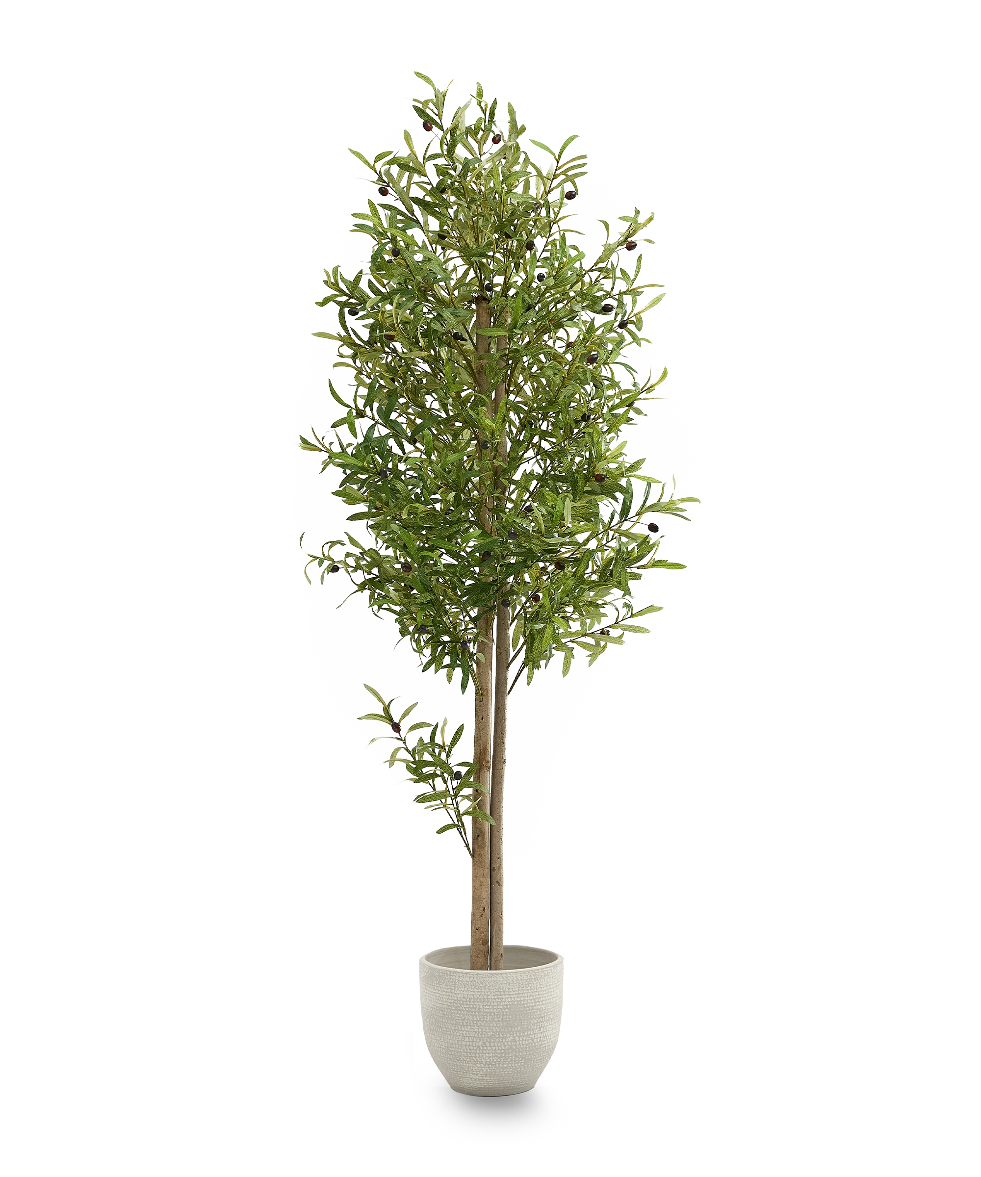 olivo artificial 180 maia shop