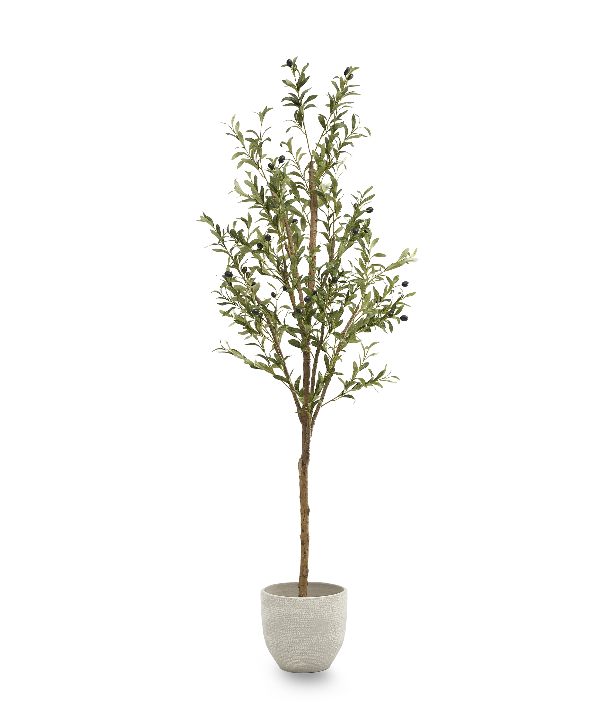 olivo artificial grande maia shop