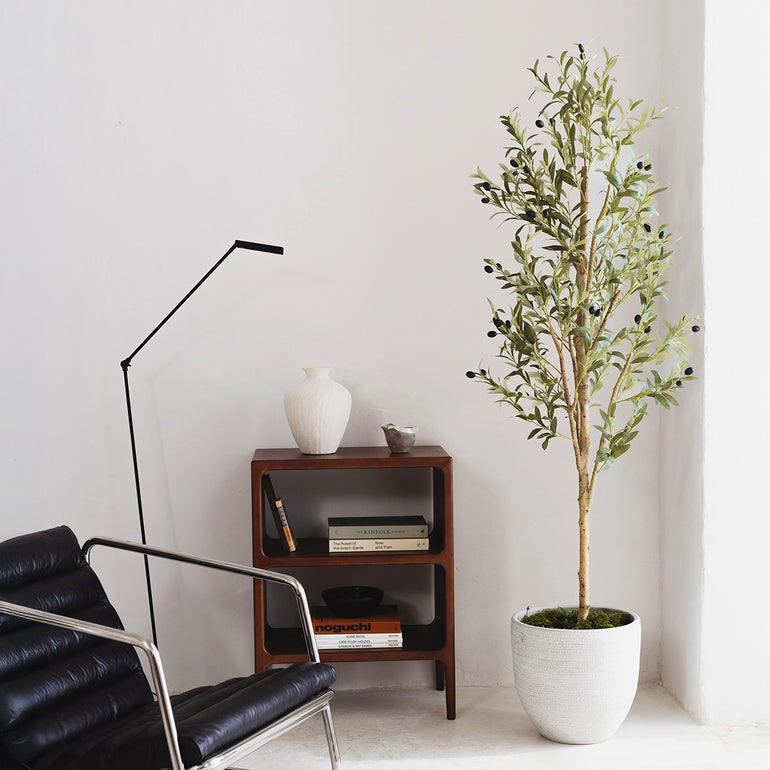 olivo_minimal_180cm
