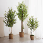 olivos artificiales maia shop