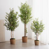 olivos artificiales maia shop