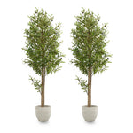 pack olivo artificial 180