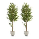 pack olivo artificial 180
