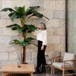 Planta artificial tipo platanera de 320cm en terraza MAIASHOP