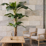 Planta artificial tipo platanera 320cm en terraza MAIASHOP