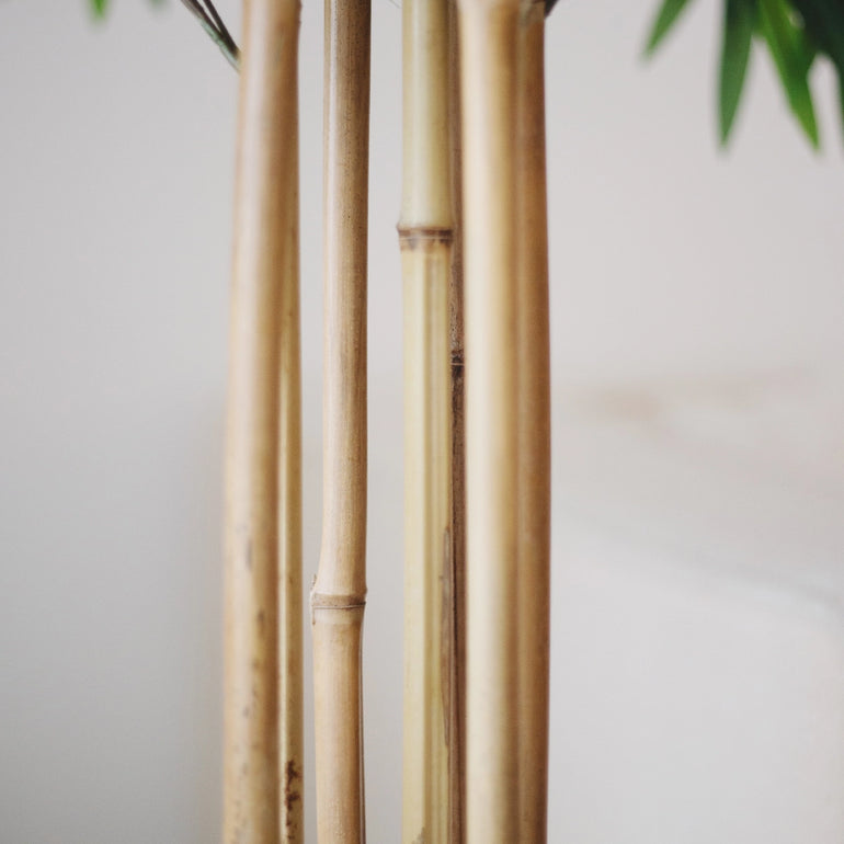 tronco Bambú Artificial Excélsior 180 cm