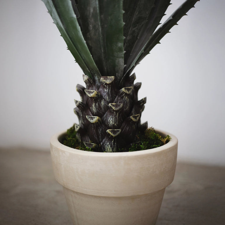 tronco agave artificial