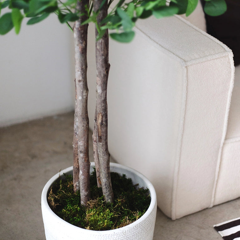 troncos eucalipto artificial excelsior
