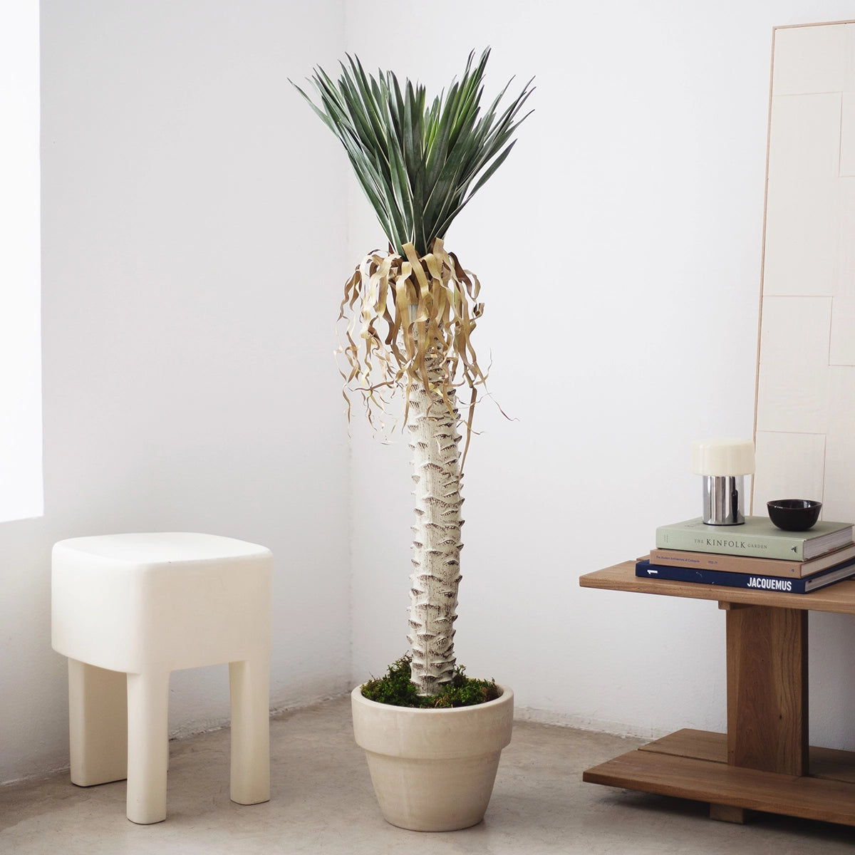 yuca artificial